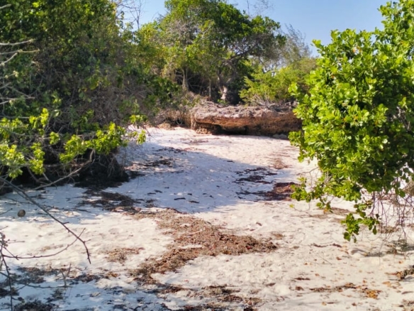 1.5 Acres beachfront for sale in Watamu