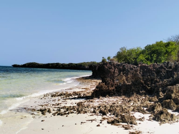 1.5 Acres beachfront for sale in Watamu