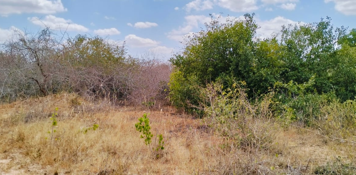 25 Acres for sale in Mulunguni