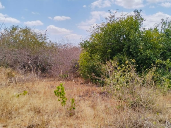25 Acres for sale in Mulunguni