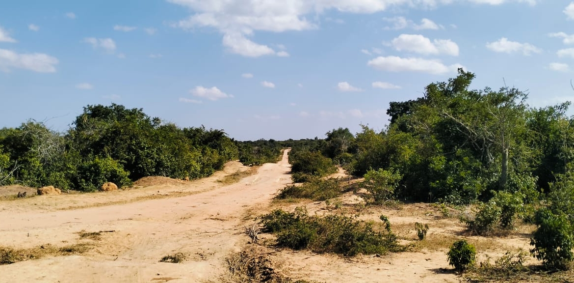 85 Acre ranch for sale in Malindi, Kasikini