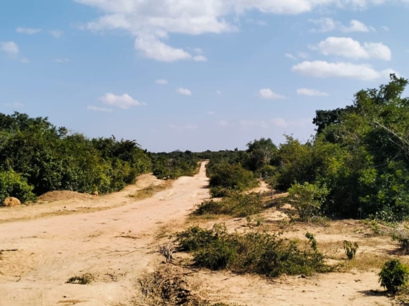 85 Acre ranch for sale in Malindi, Kasikini