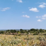 85 Acre ranch for sale in Malindi, Kasikini