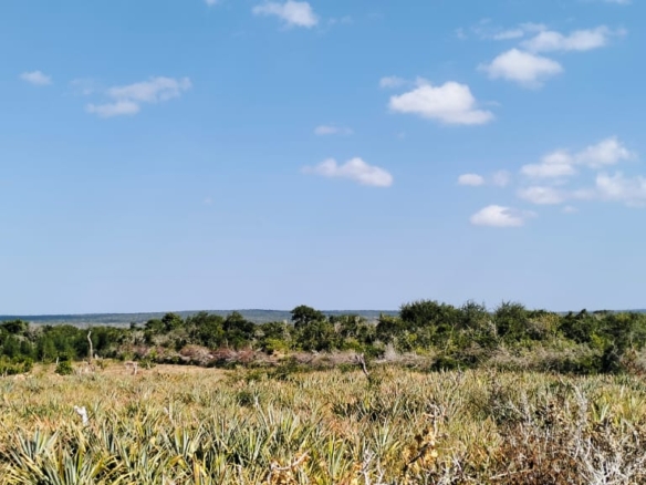 85 Acre ranch for sale in Malindi, Kasikini
