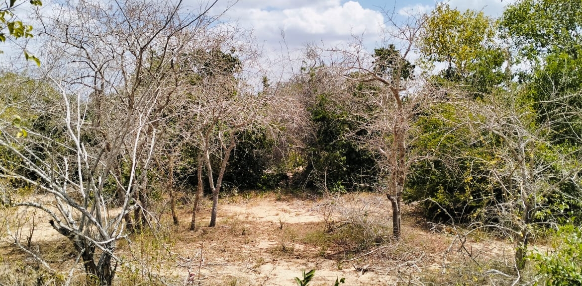 25 Acres for sale in Mulunguni