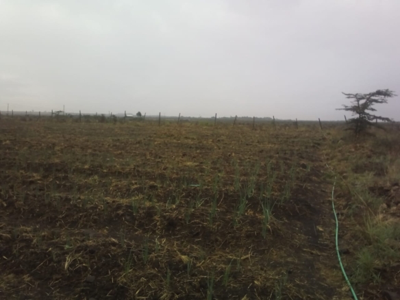 Tuala 3.5 Acres for sale