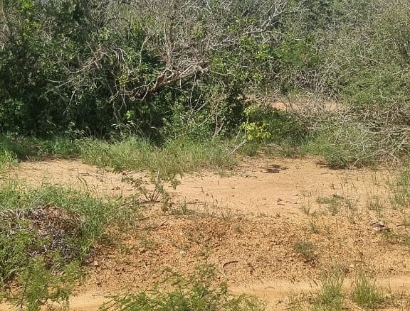 Matolani 4250 acres for sale