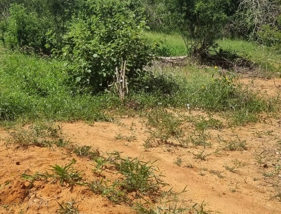 Matolani 4250 acres for sale