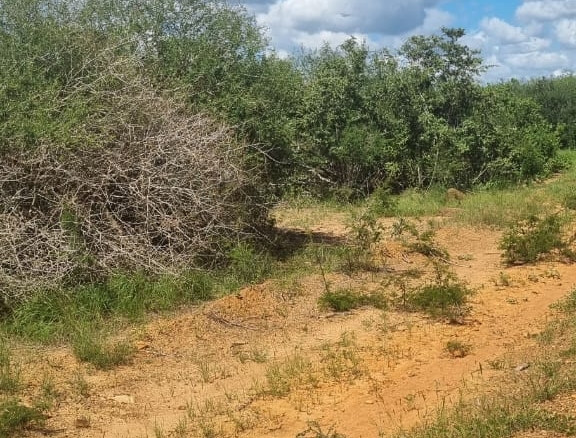 Matolani 4250 acres for sale