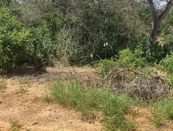 Matolani 4250 acres for sale