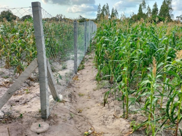 2 Acres for sale in Kakuyuni