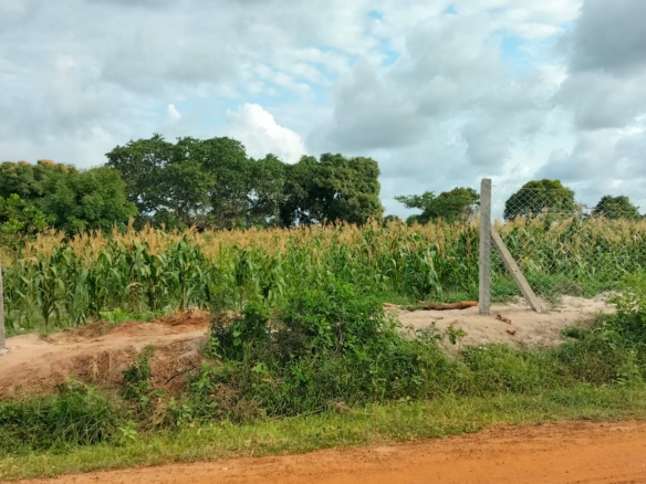 2 Acres for sale in Kakuyuni