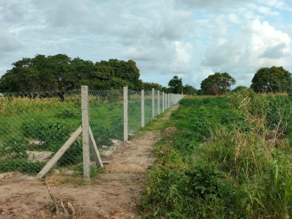 2 Acres for sale in Kakuyuni
