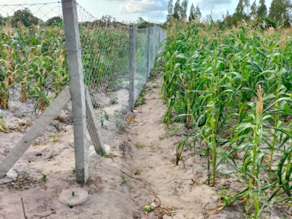 2 Acres for sale in Kakuyuni