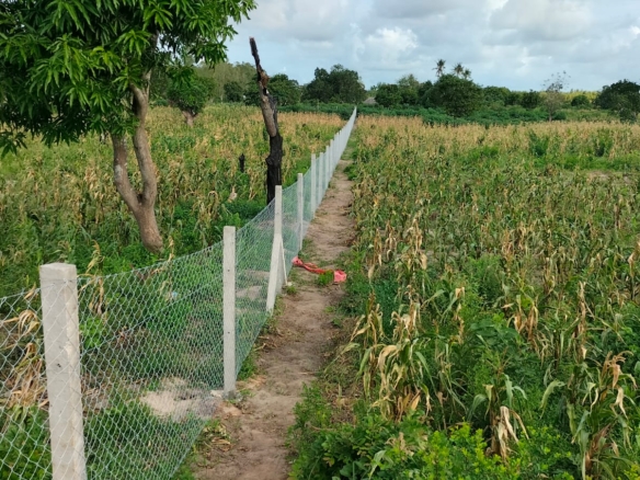 2 Acres for sale in Kakuyuni