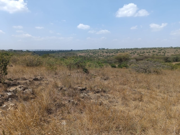 Scenic land for sale in Tuala