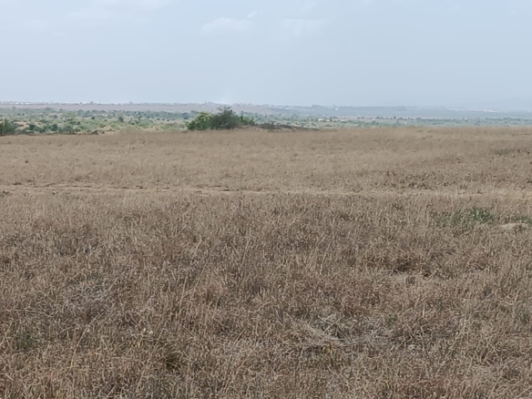 Scenic land for sale in Tuala