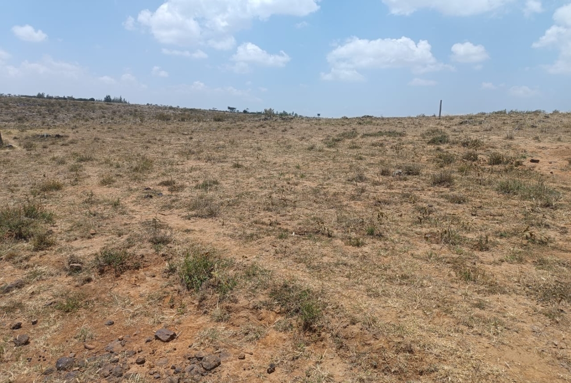 Scenic land for sale in Tuala