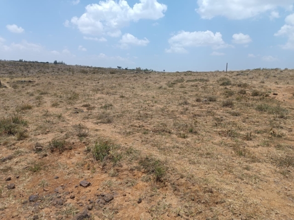 Scenic land for sale in Tuala