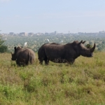 Scenic land for sale in Tuala