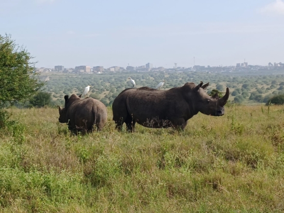 Scenic land for sale in Tuala