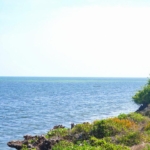 Beachfront half acres for sale in Watamu