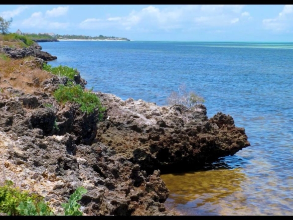 Beachfront half acres for sale in Watamu