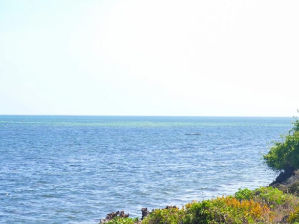 Beachfront half acres for sale in Watamu