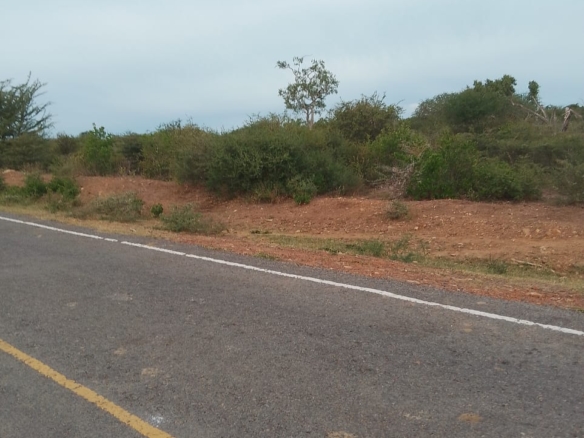 8 Acres with road frontage for sale in chakama