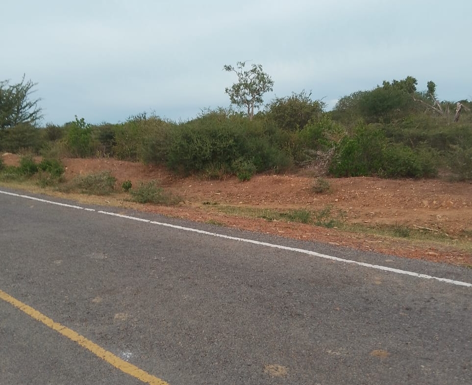 8 Acres with road frontage for sale in chakama
