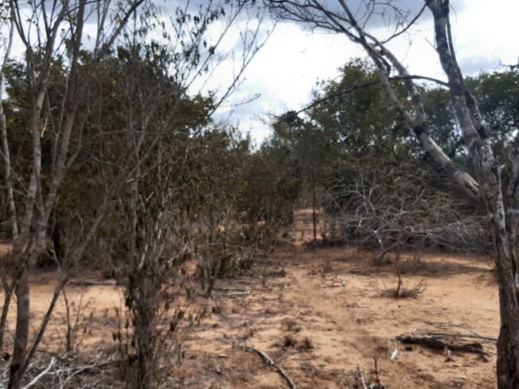 Chakama 3 Acres for sale