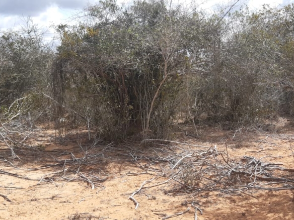 Chakama 3 Acres for sale