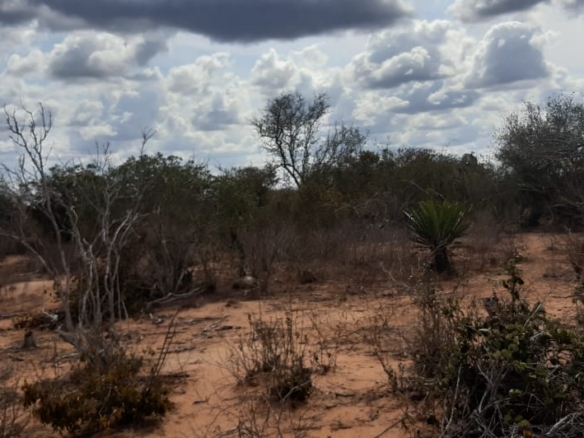 Chakama 3 Acres for sale