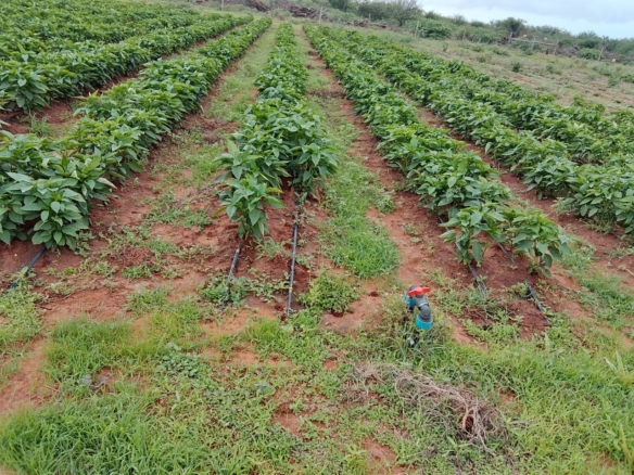 Taveta fully set up farm for sale