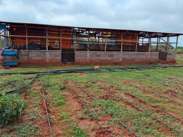 Taveta fully set up farm for sale
