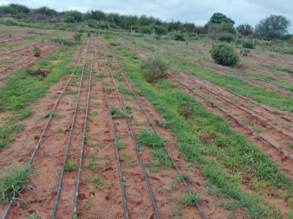 Taveta fully set up farm for sale