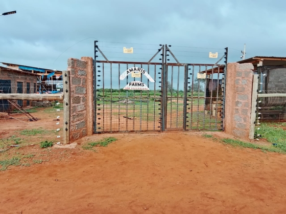 Taveta fully set up farm for sale