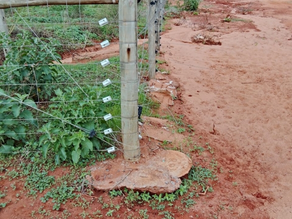 Taveta fully set up farm for sale