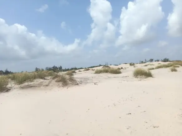 Beachfront plots for sale in mambrui