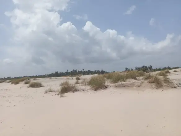 Beachfront plots for sale in mambrui