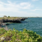 3 Acres for sale in Uyombo