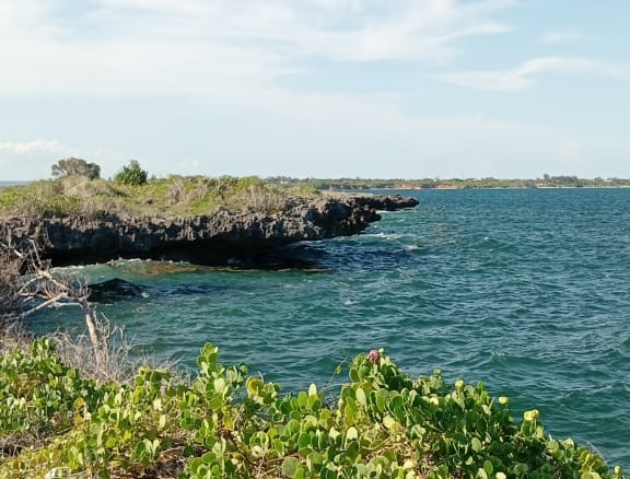 3 Acres for sale in Uyombo