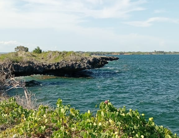 3 Acres for sale in Uyombo
