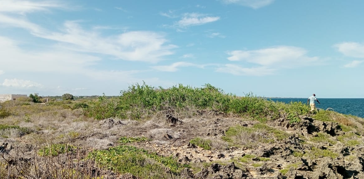 3 Acres for sale in Uyombo