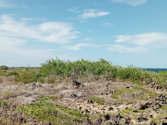 3 Acres for sale in Uyombo