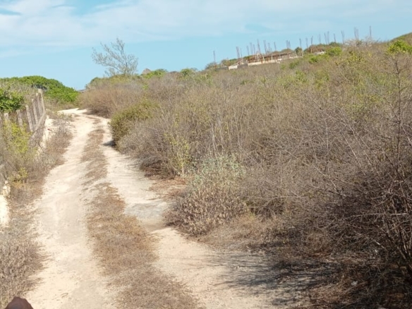 3 Acres for sale in Uyombo