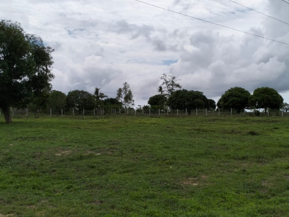 15 Acres for sale on Tarmac in Malindi, Kibao cha Goshi