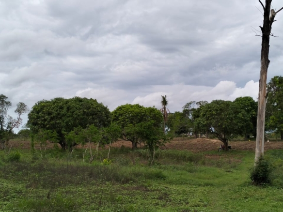 15 Acres for sale on Tarmac in Malindi, Kibao cha Goshi