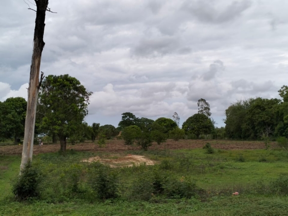 15 Acres for sale on Tarmac in Malindi, Kibao cha Goshi