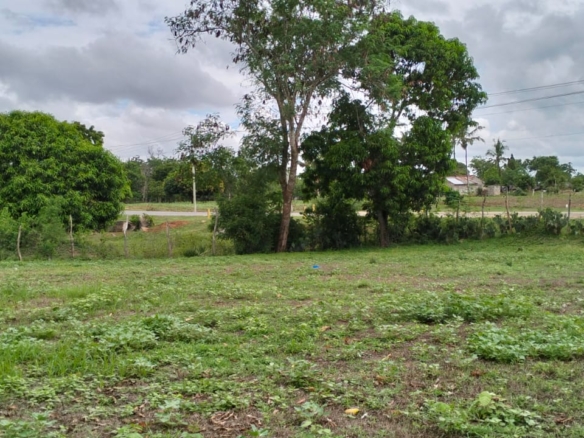 15 Acres for sale on Tarmac in Malindi, Kibao cha Goshi